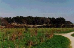 Parcours dans la zone protégée de la Pointe des Immigrés.