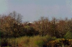 Parcours dans la zone protégée de la Pointe des Immigrés.