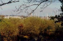 Parcours dans la zone protégée de la Pointe des Immigrés.