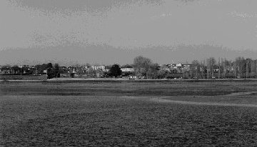 Vue sur la plage depuis le site des salines montrant les vasi�res