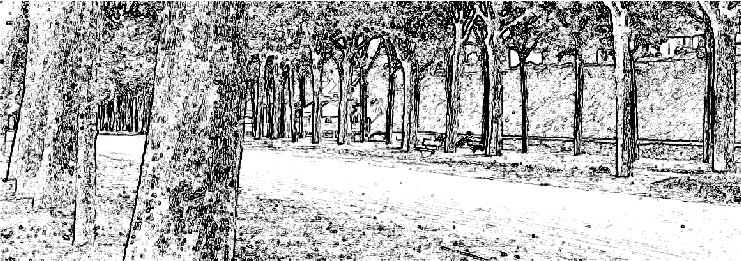 L'all�e centrale de la promenade de La Rabine