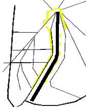 Sch�ma des trames du tissus urbain sur la port.