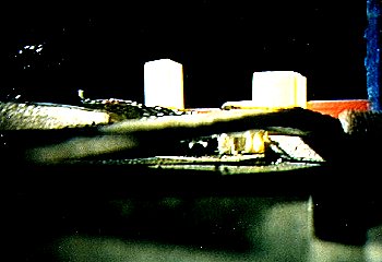 Vue macroscopique de la maquette au 1/2000�me - Depuis le Parc du Golfe vers l'"ARTICULATION"